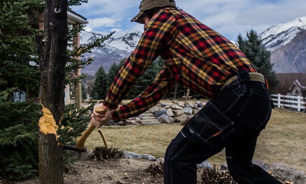 Bringing a tree down while felling the tree