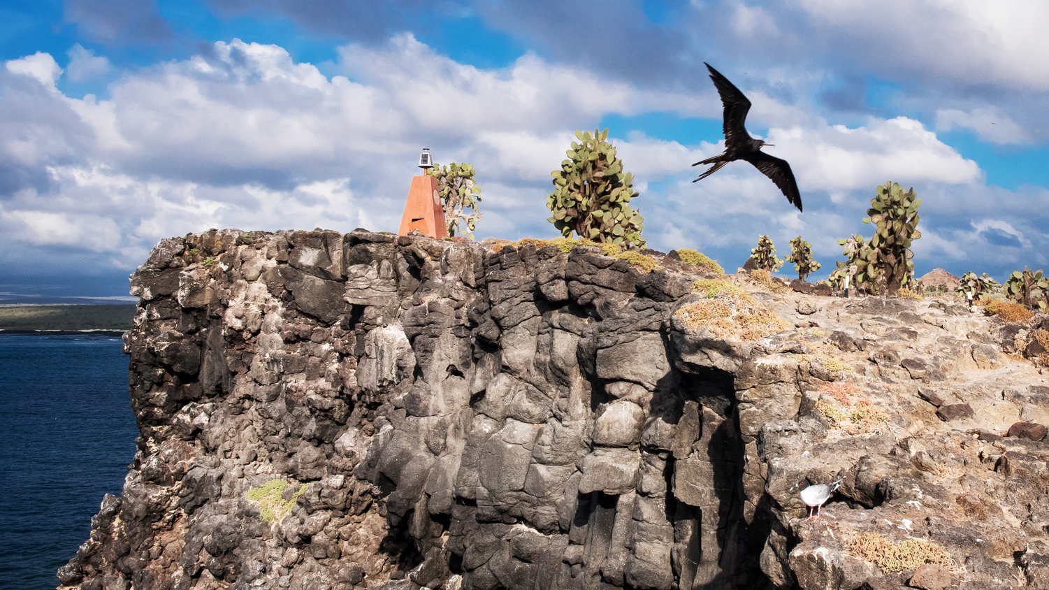 A Comprehensive Guide To The Wildlife Paradise Of The Galapagos Islands ...