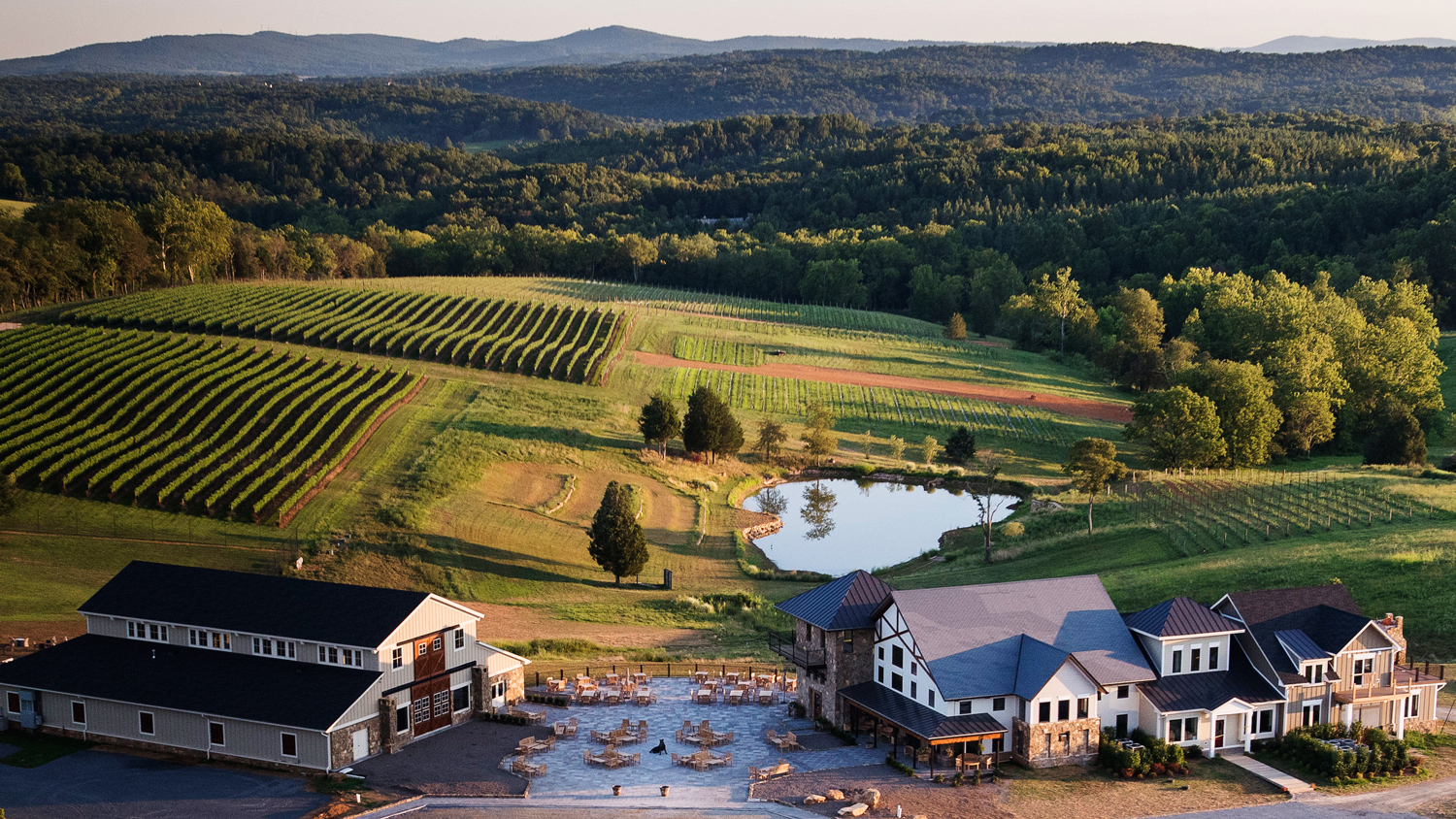 Wine Weekend: How to Make the Most of Northern Virginia Wine Country 