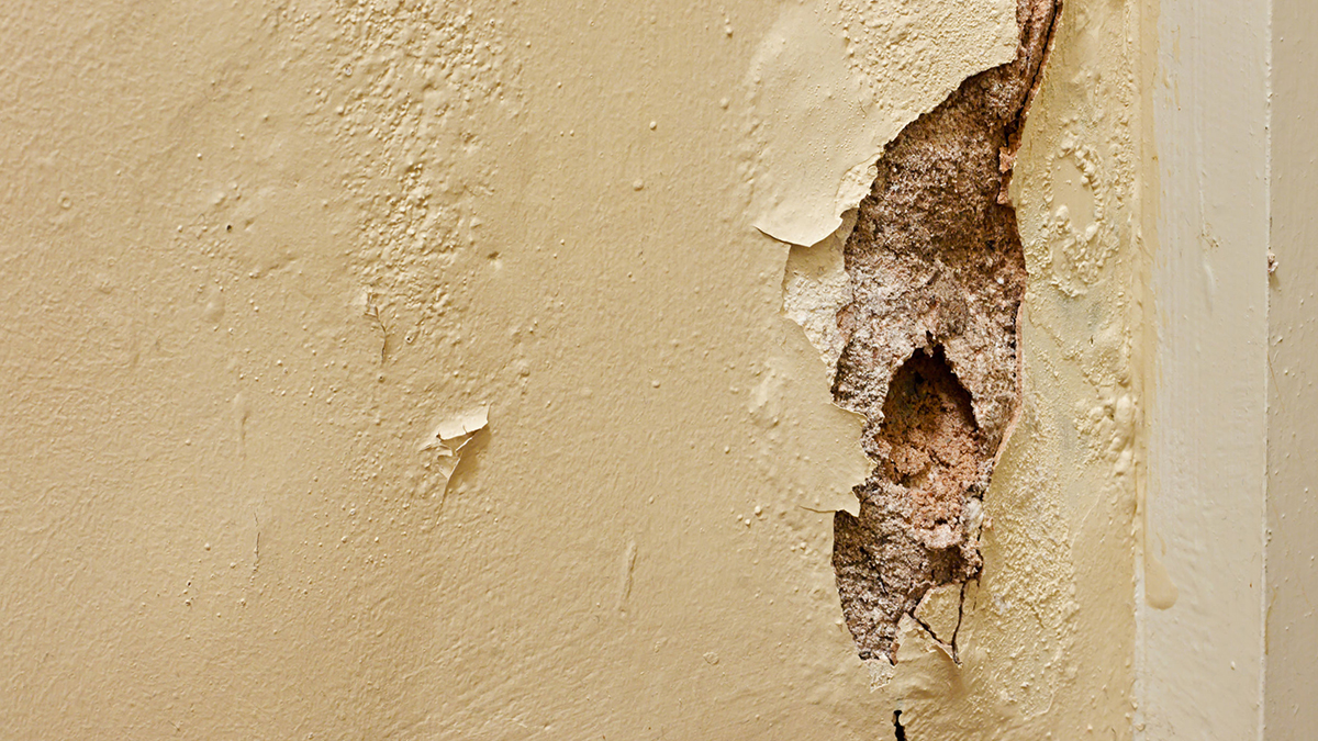 How to Fix a Hole in the Wall: A DIY Patching Guide - The Manual