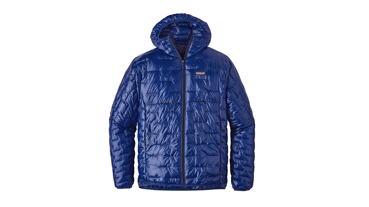 Patagonia mens best sale micro puff hoody