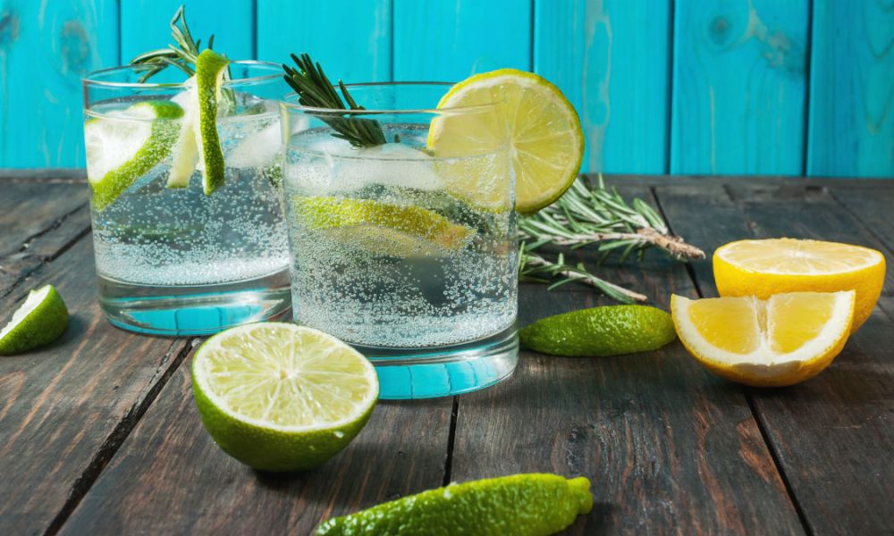 Gin and tonic lime lemon rosemary