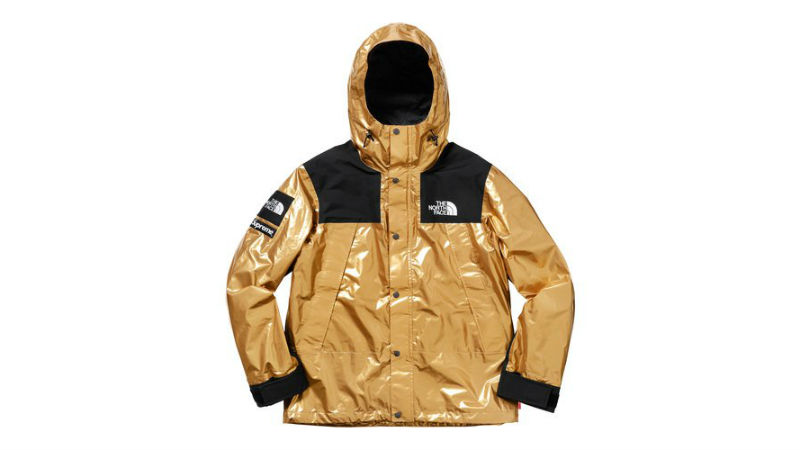 supreme north face ski jacket