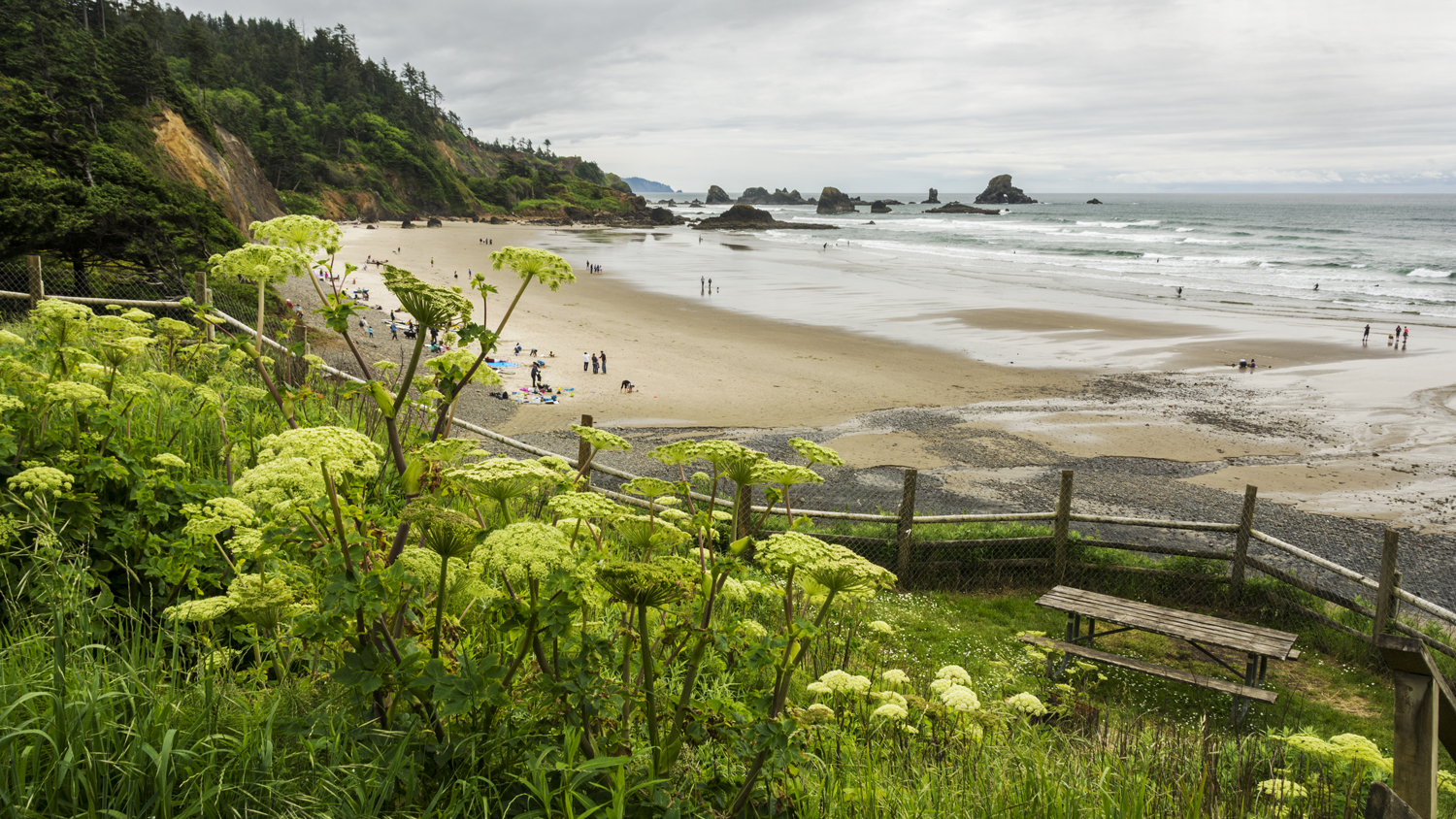 Long shot of beachgoers relaxing on Indian Beach in Ecola State Park, Oregon.