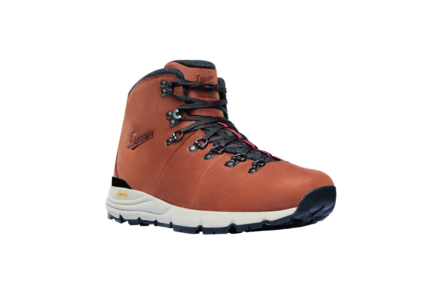 Danner mountain hotsell 600 weatherized