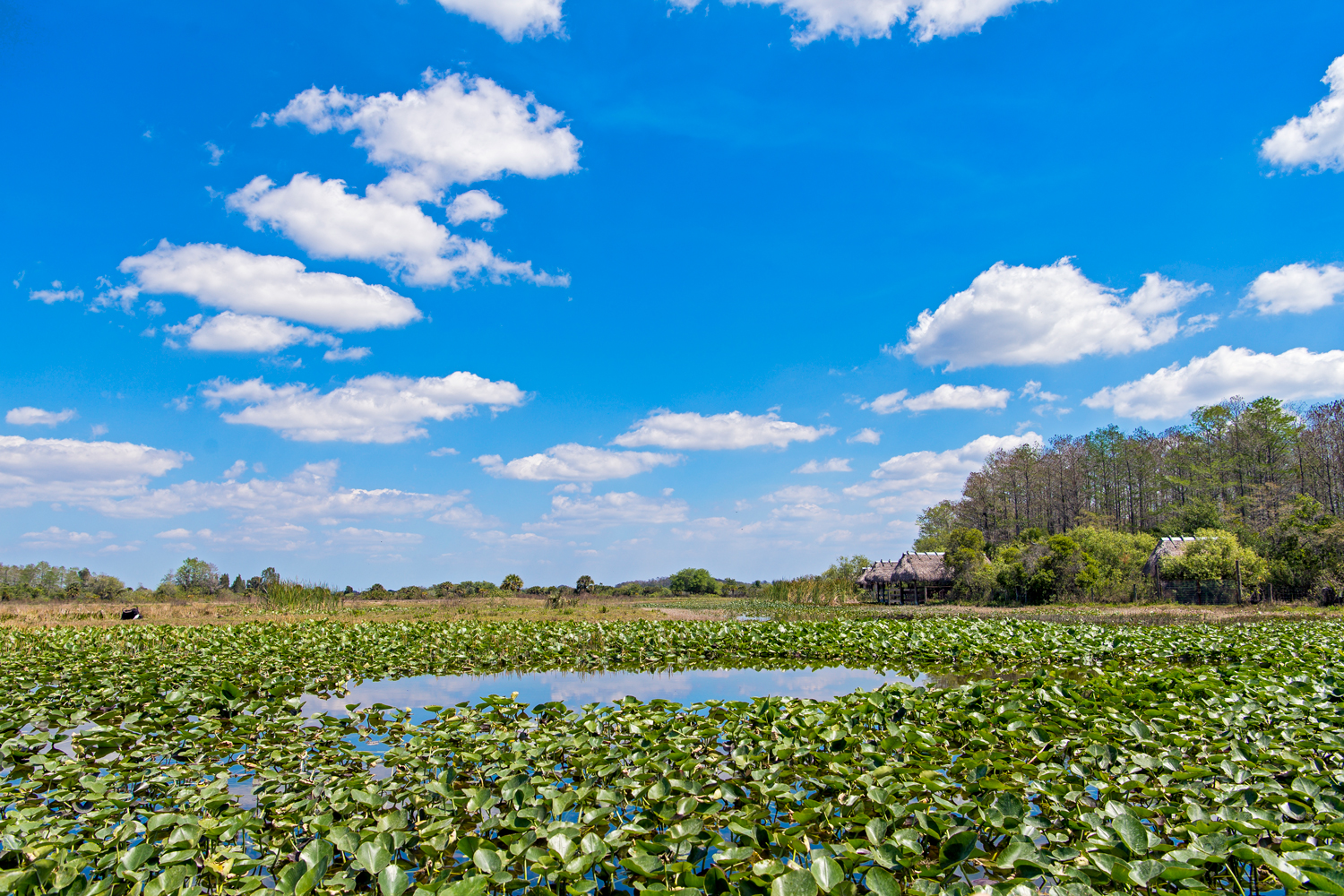 Everglades National Park