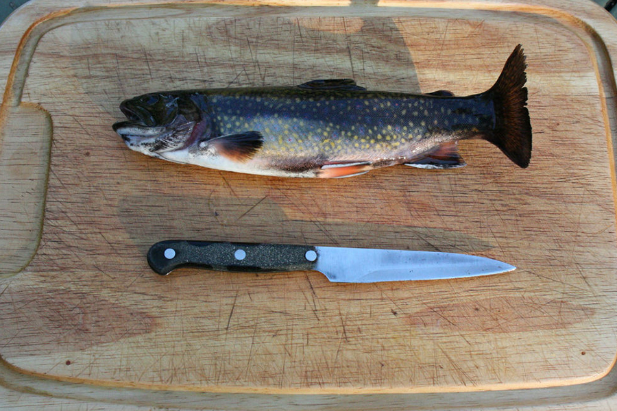 Trout on a cutting board with a kinife