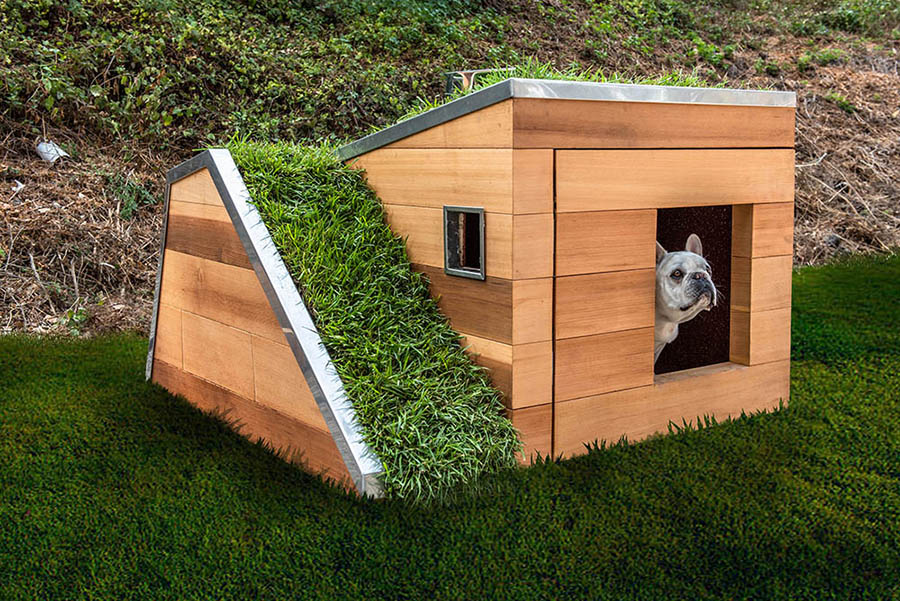 https://www.themanual.com/wp-content/uploads/sites/9/2018/11/rooftop-garden-dog-house-2.jpg?fit=800%2C533&p=1