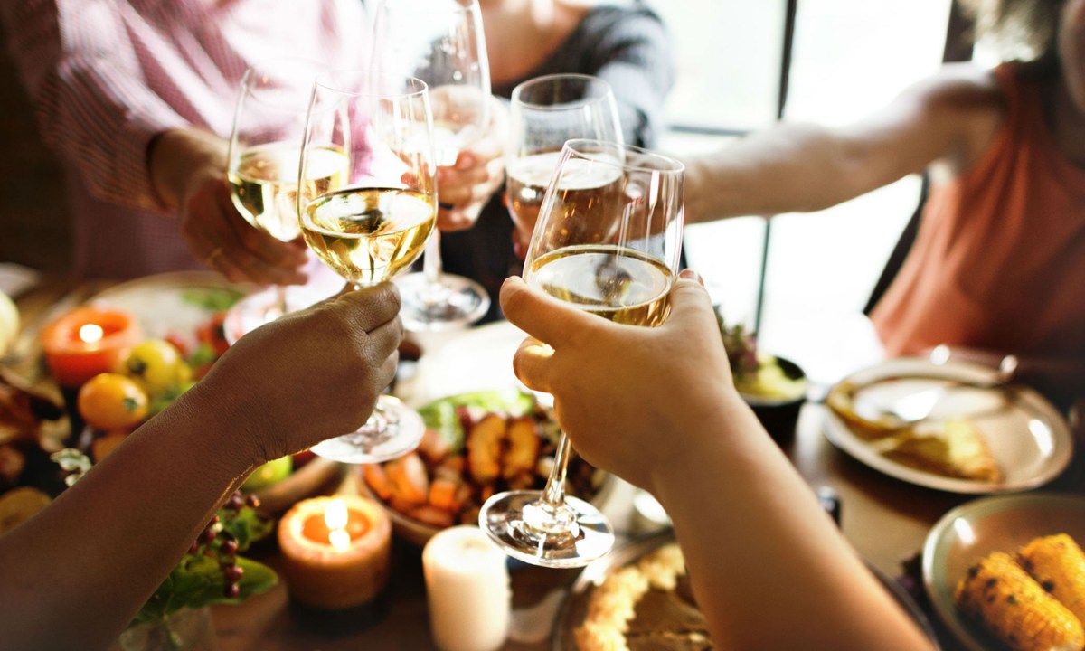 Group of friends having a toast with wine.