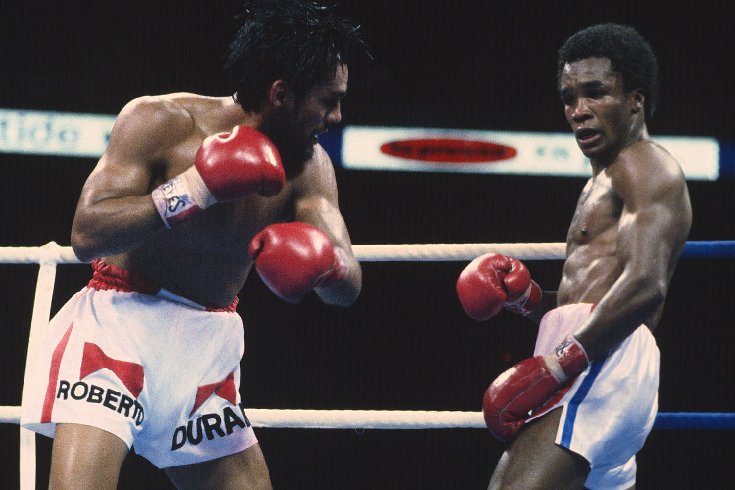 TOP 20 MOST BRUTAL KNOCKOUTS IN BOXING HISTORY 
