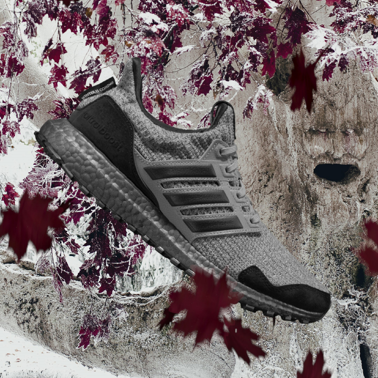 Adidas us hotsell game of thrones