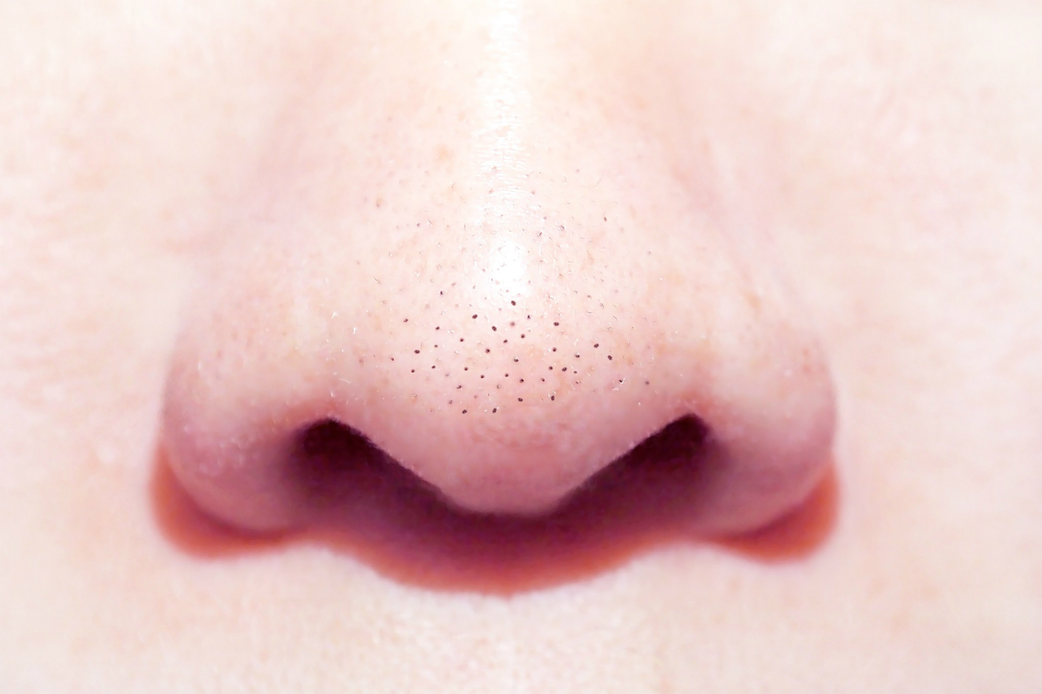 Close-up of a man's nose