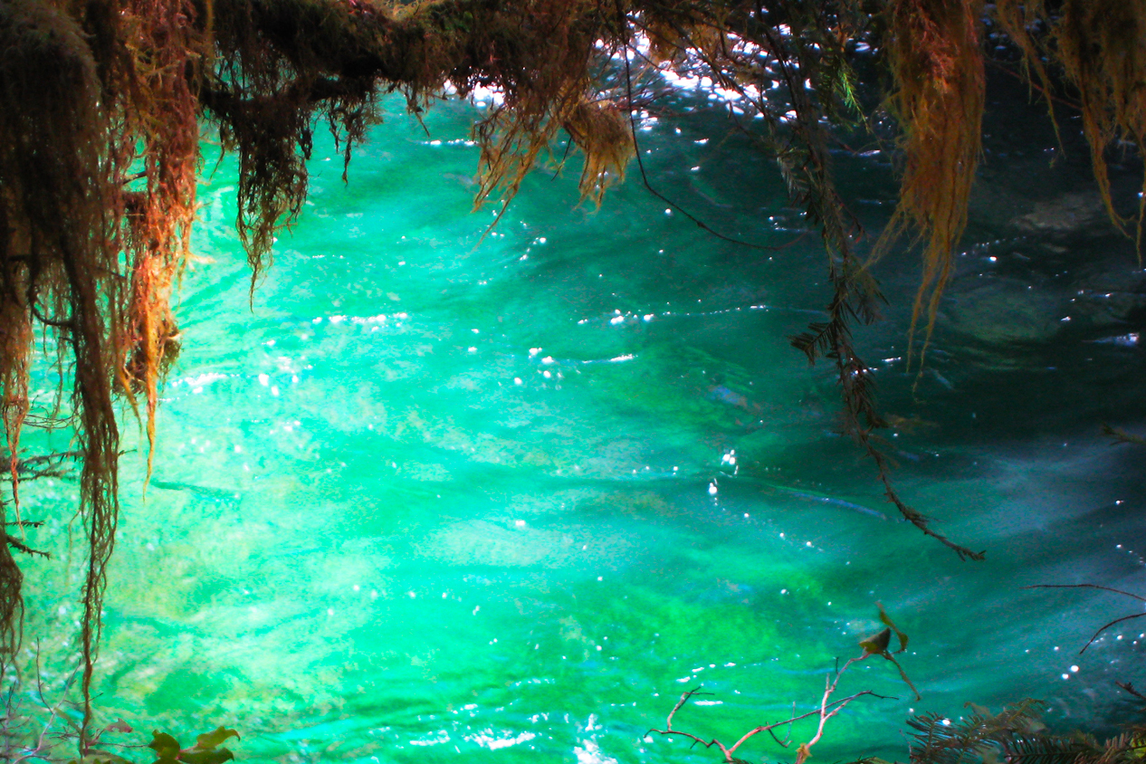 Opal Pool, Oregon