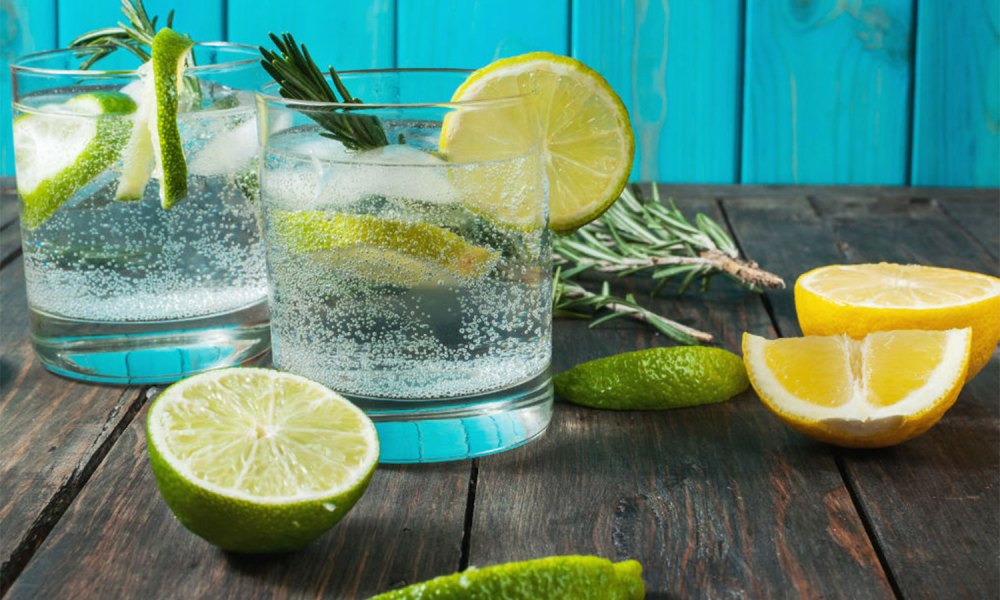 Gin and tonic with lemon and lime