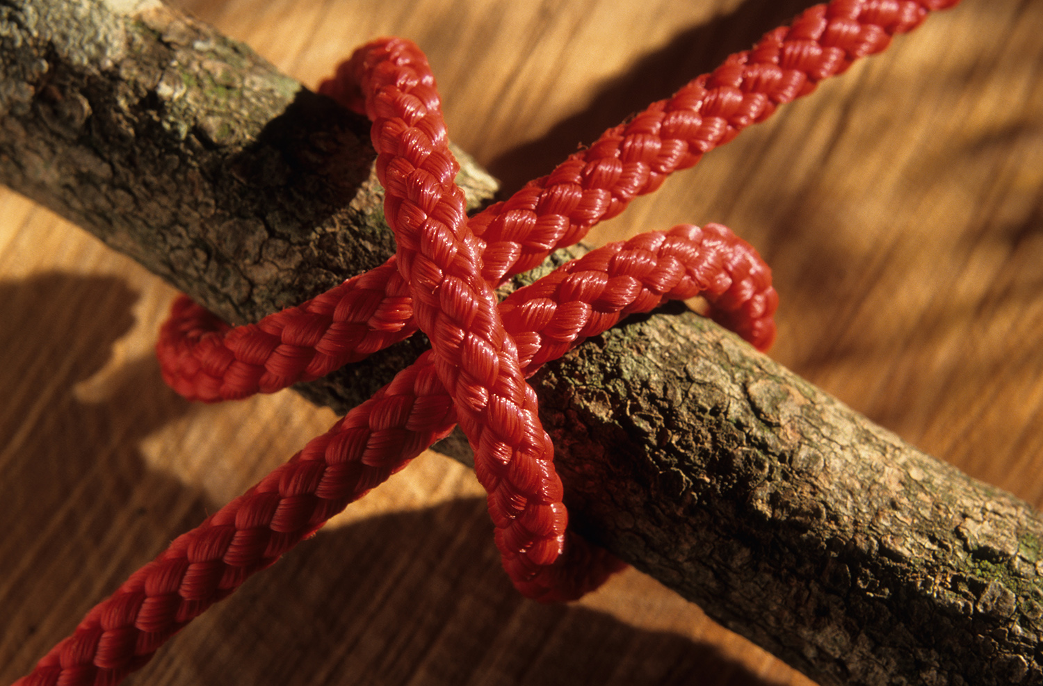 These are the essential outdoor knots every outdoorsman should