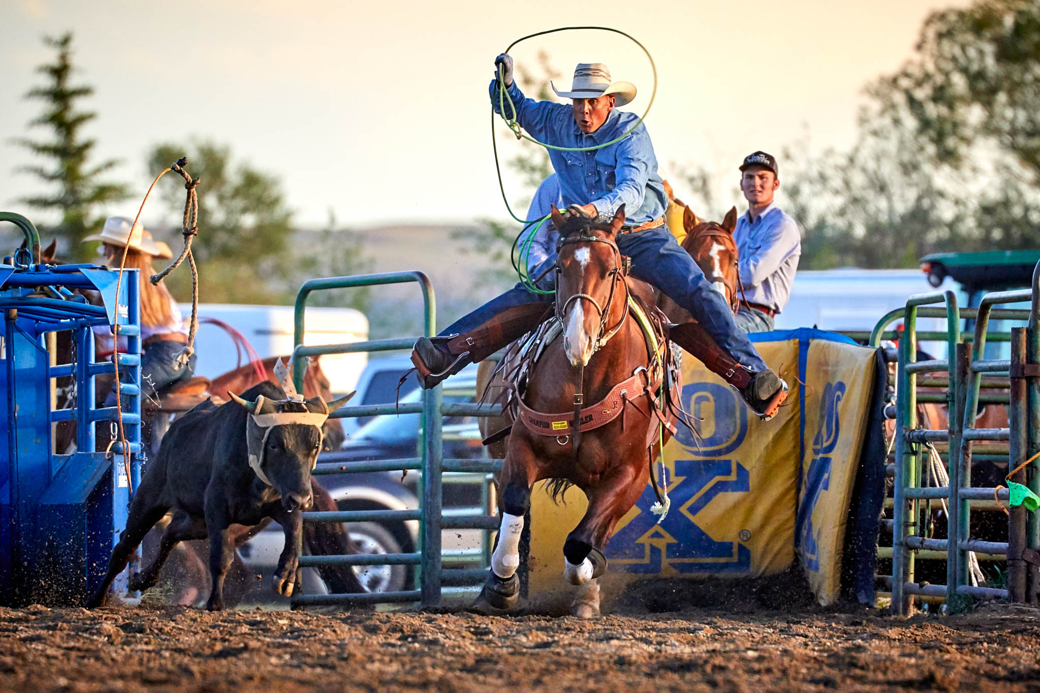 Wyoming Athletics - Can't get enough of this Wyoming Cowboy