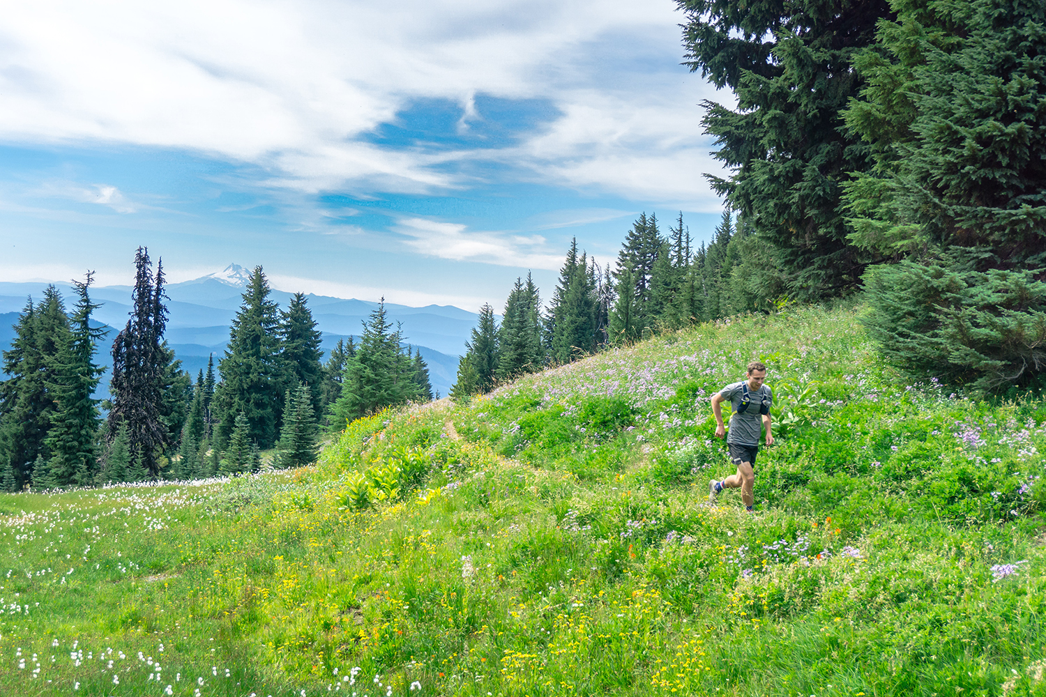 Beginner's Guide to Trail Running and What You Need - The Manual