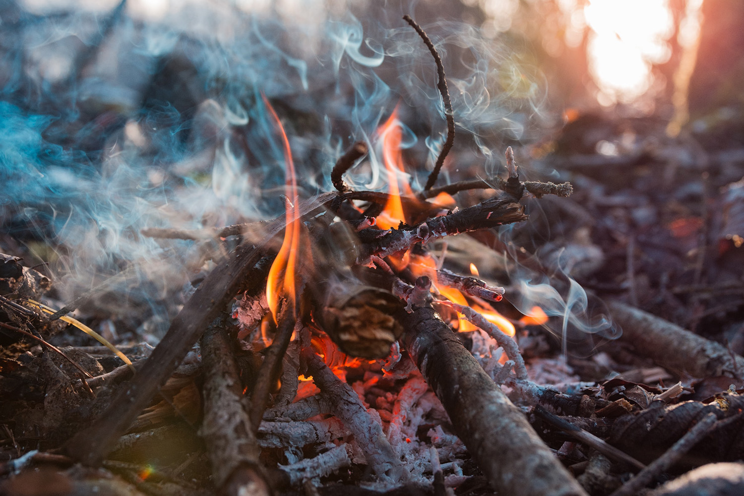 How to Gather Firewood Responsibly While Camping - The Manual