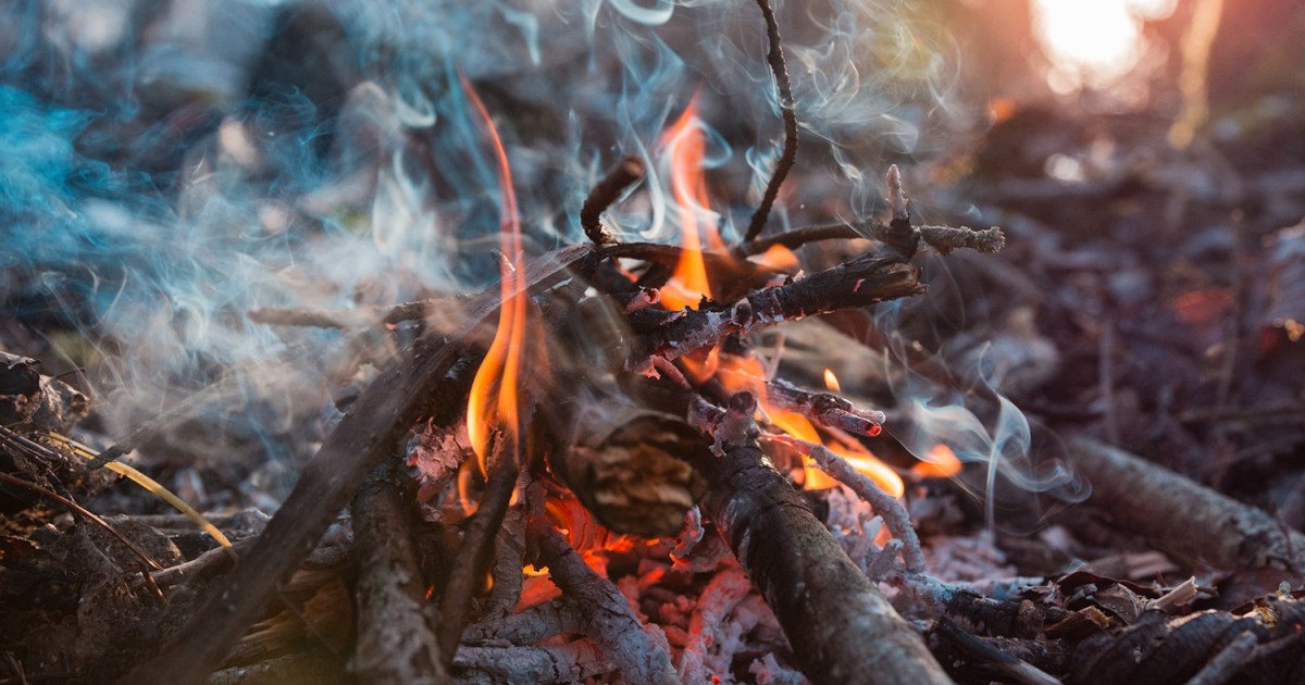 Campfire Roasting Tools, Something for Everyone! – Camp That Site: Enjoy BC  with the right site the first time