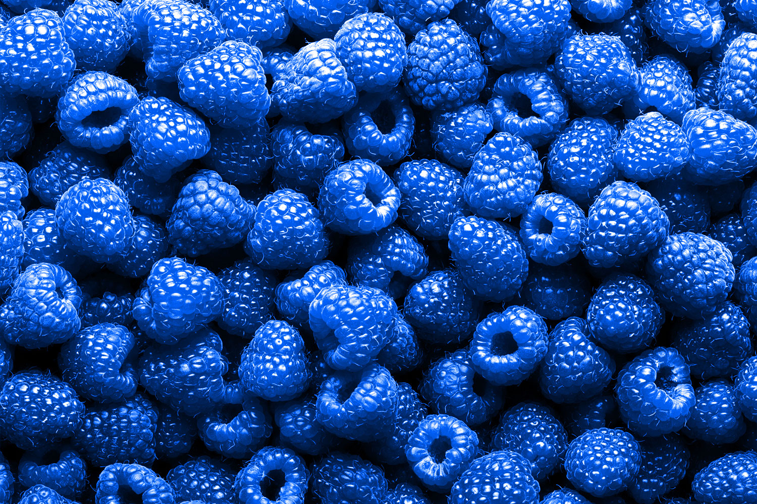blue fruit