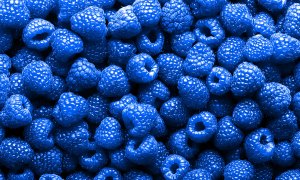 blue raspberries