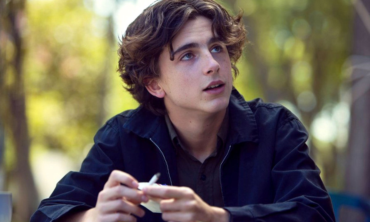 Timothee Chalamet in Lady Bird