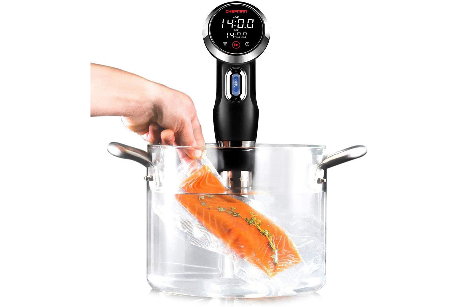 best immersion circulator 2021