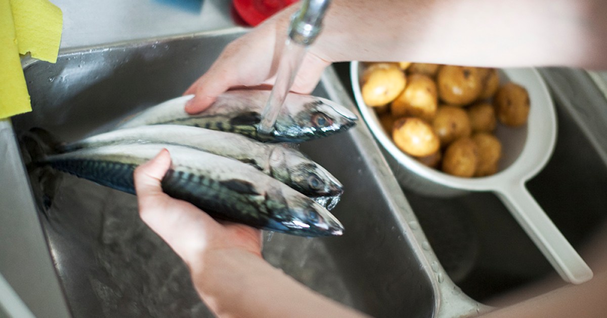 How to Clean and Prepare FreshCaught Fish for Beginner's The Manual