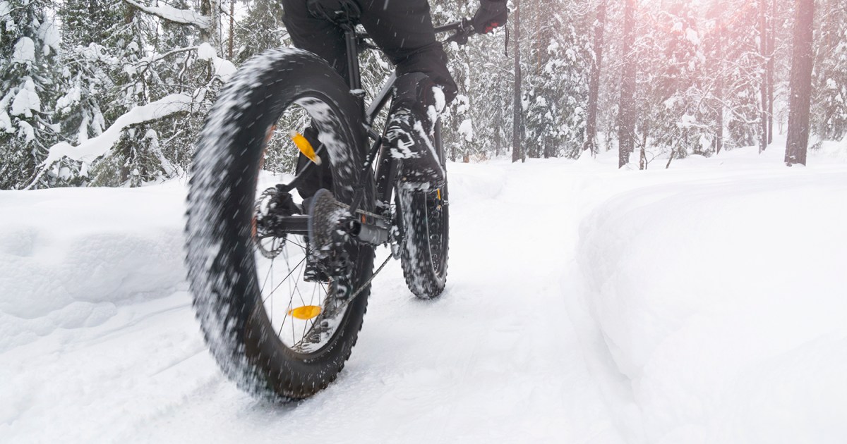 The 9 Best Fat Tire Bikes So You Can Bike Anytime, Anywhere - The Manual