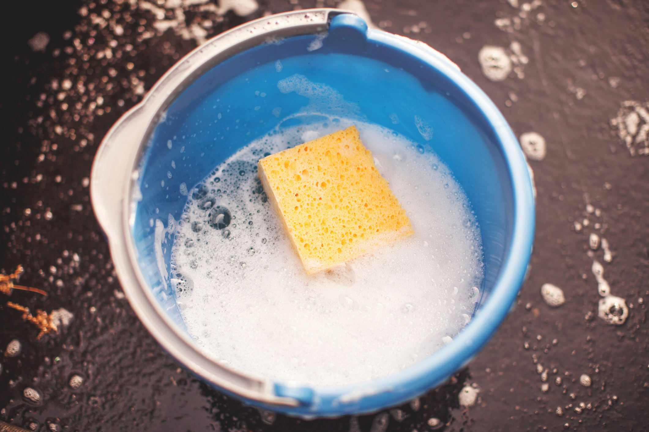 how to clean a smelly or moldy cooler bucket of water with sponge
