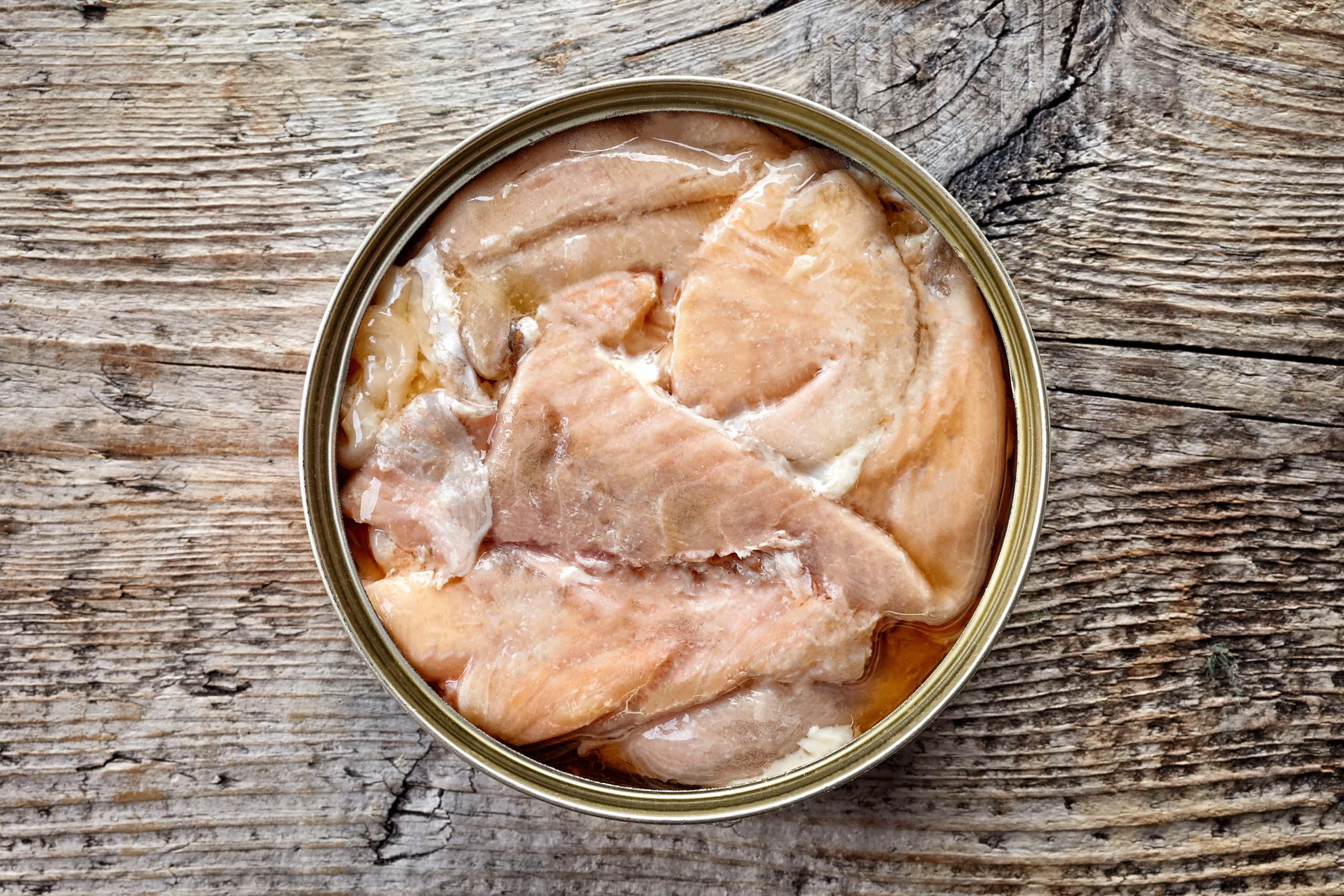 Canned salmon hot sale good for dogs