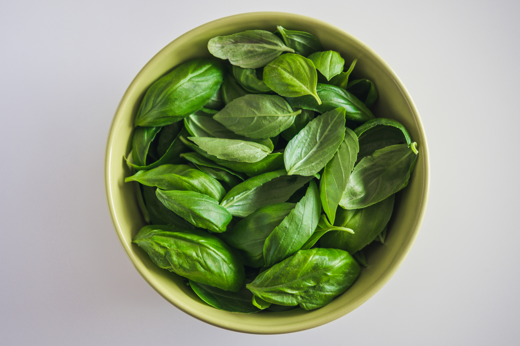 High anglev view of basil In a bowl