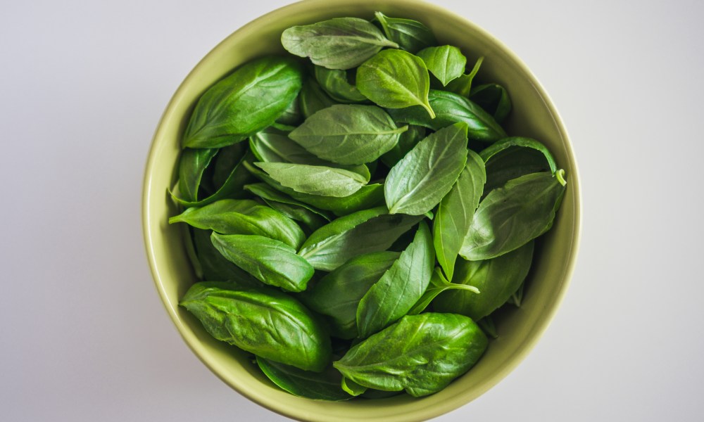 High angle view of basil In a bowl