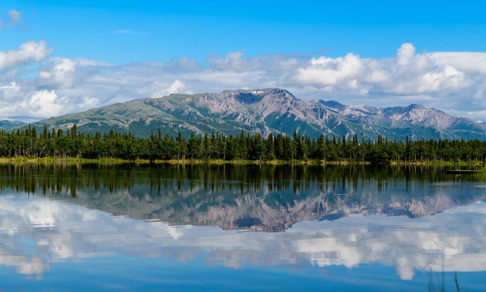 Hiking Denali National Park in Alaska