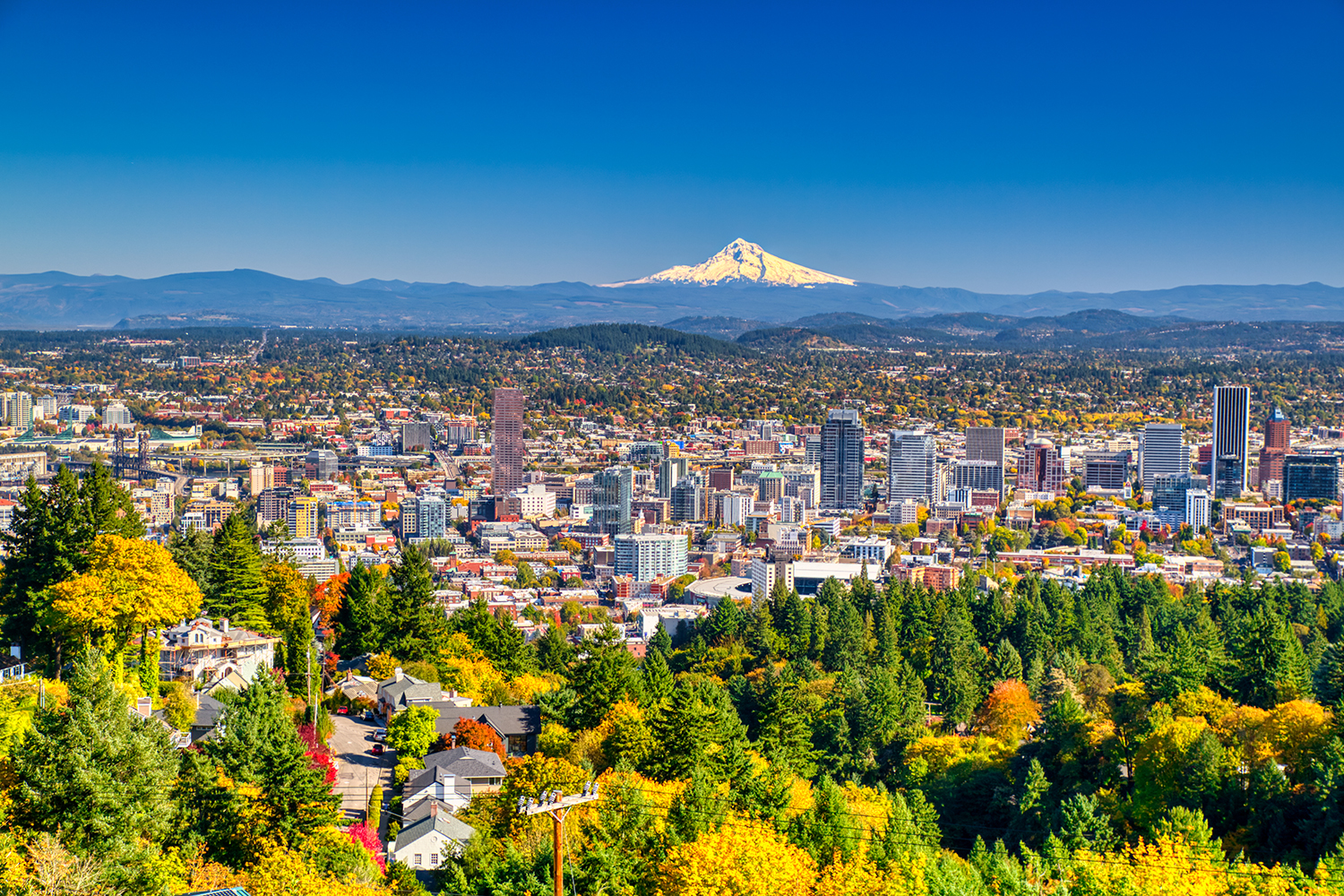 Portland Travel Guide: Where to Stay, What to Eat, and More - The Manual