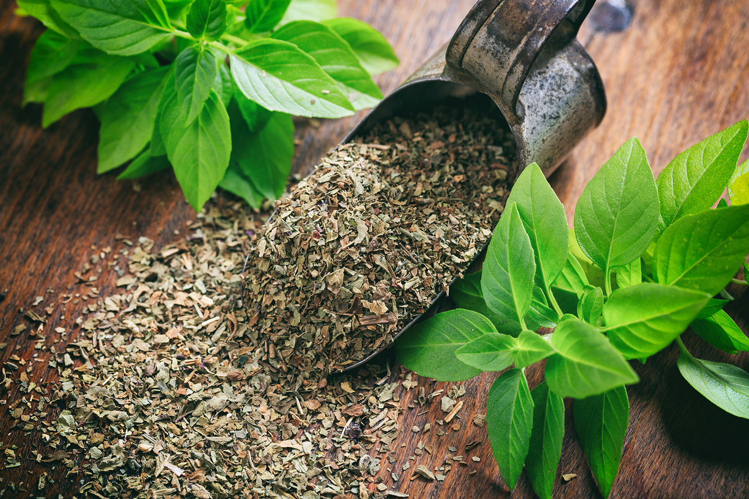 How to Dry Fresh Basil 5 Different Ways to Preserve this