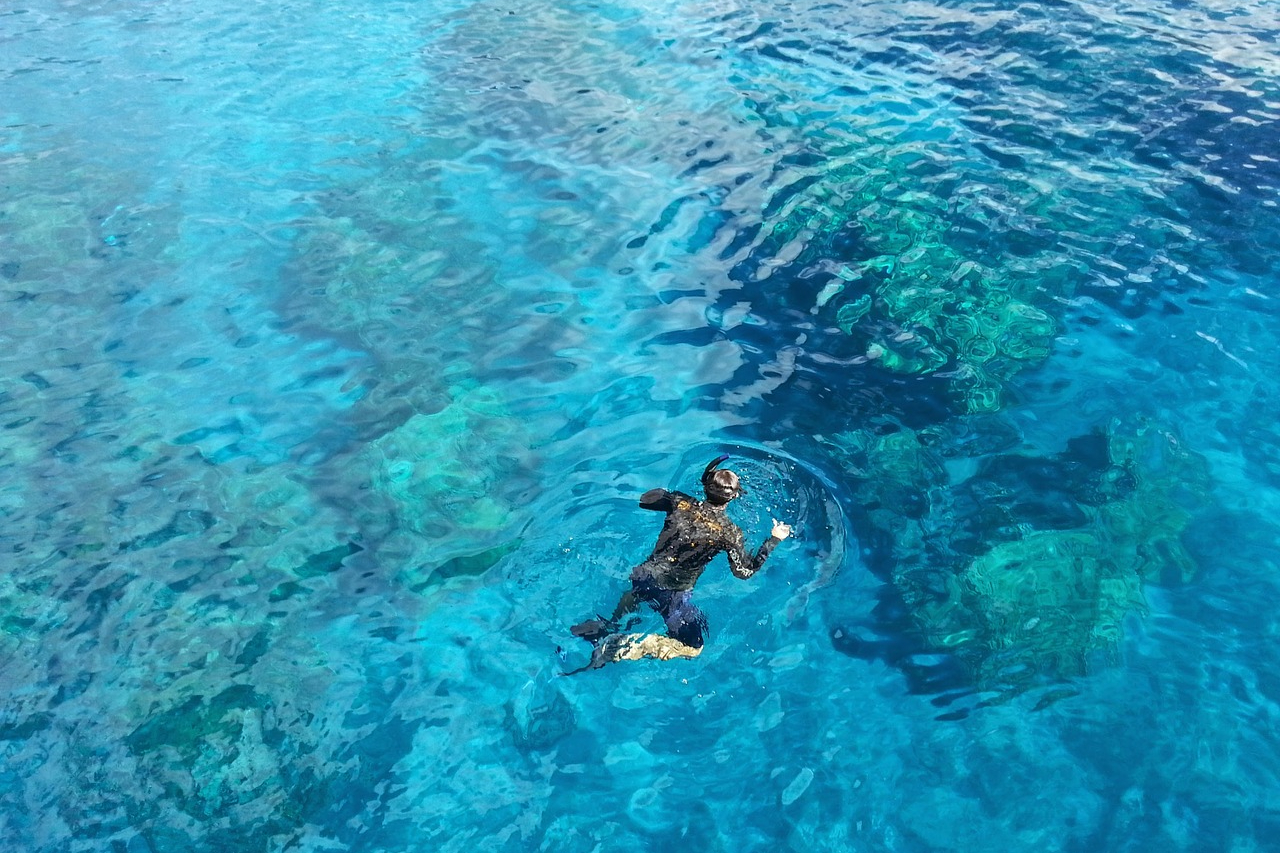 Overhead view of a person snorkeling over coral in Dry Tortugas National Park.