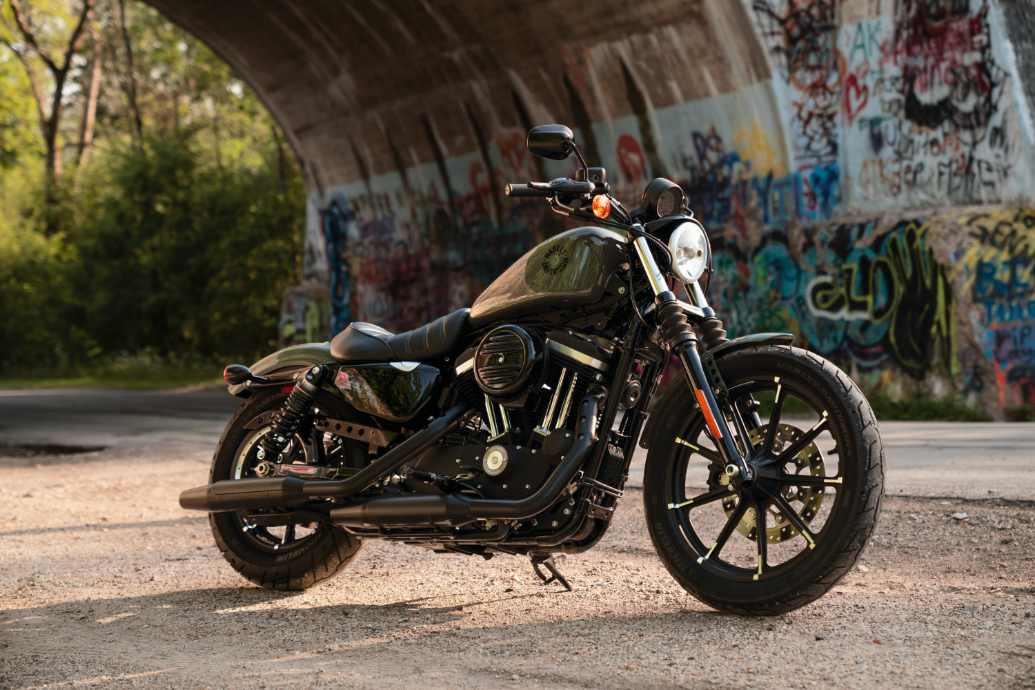 Harley-Davidson Iron 883 in a tunnel on the side of a road with trees in the back.