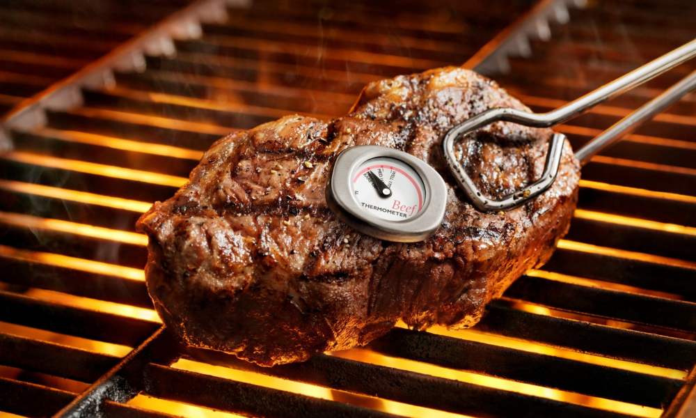 A meat thermometer on top of grilled meat on a grill.