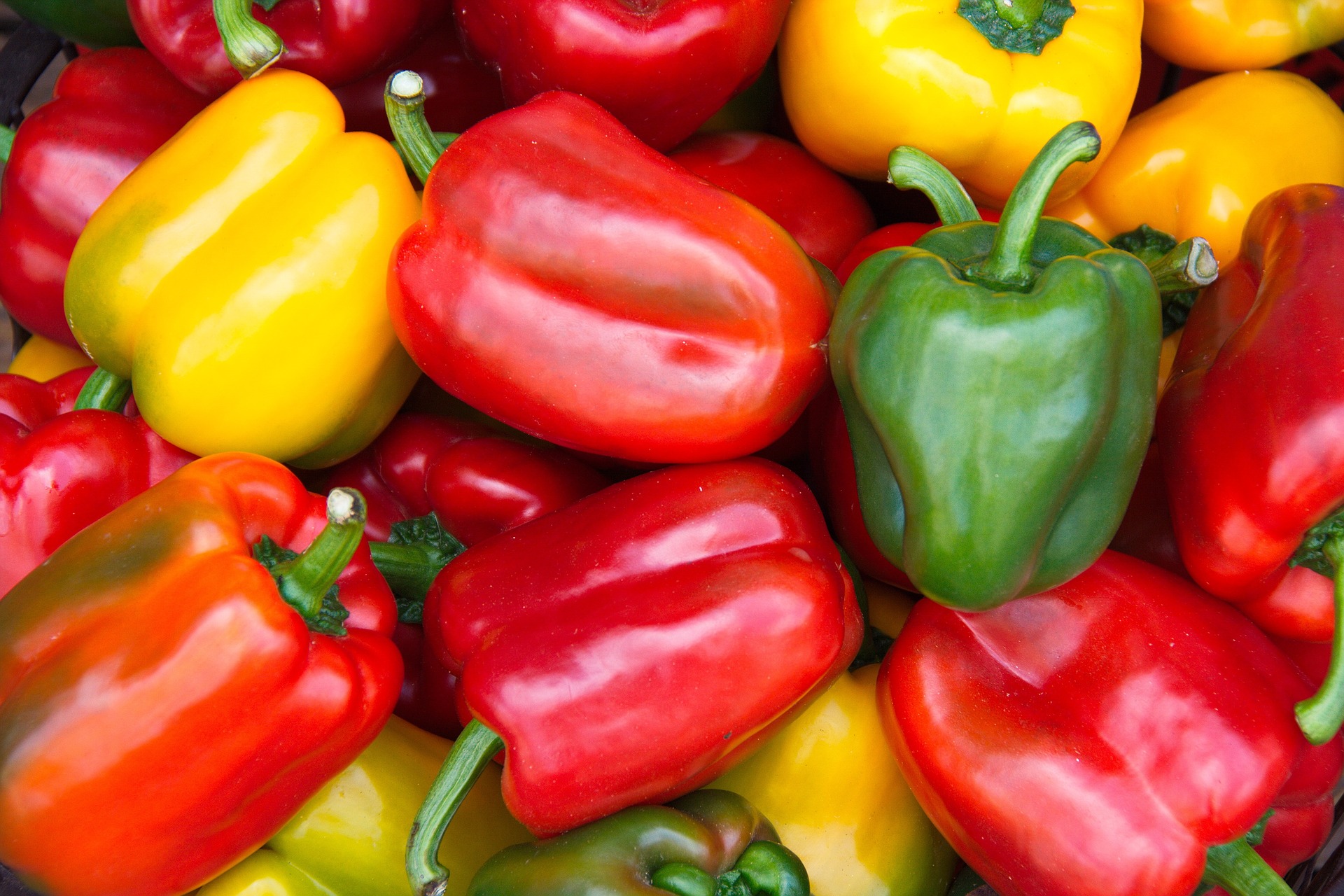 Bell peppers red green yellow peppers