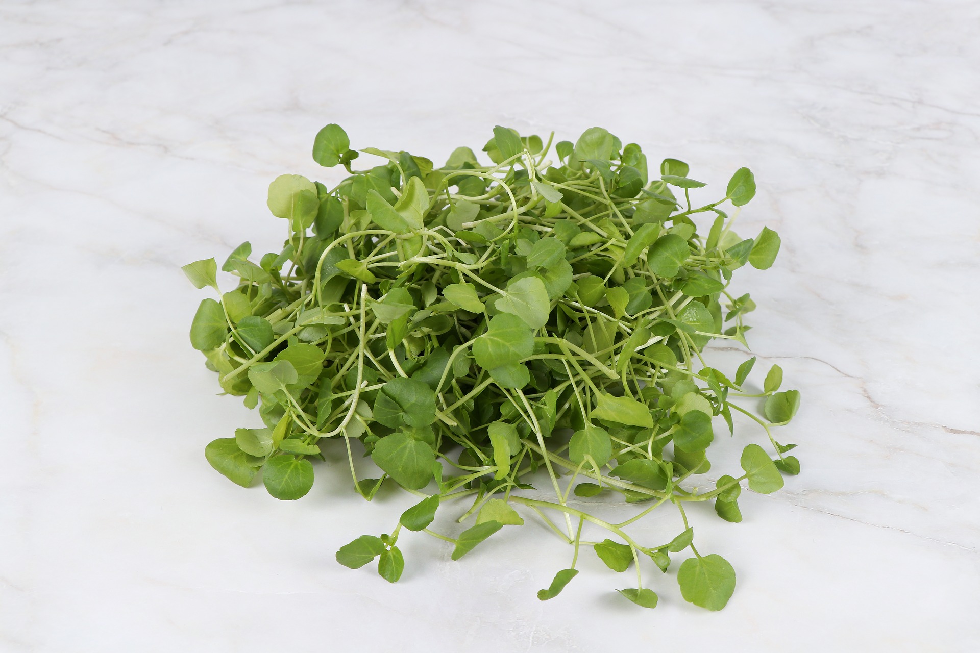 Watercress leaves