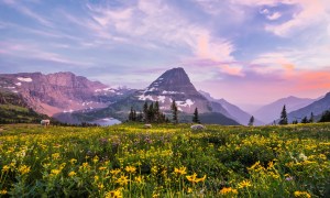 Hidden Lake, Glacier National Park