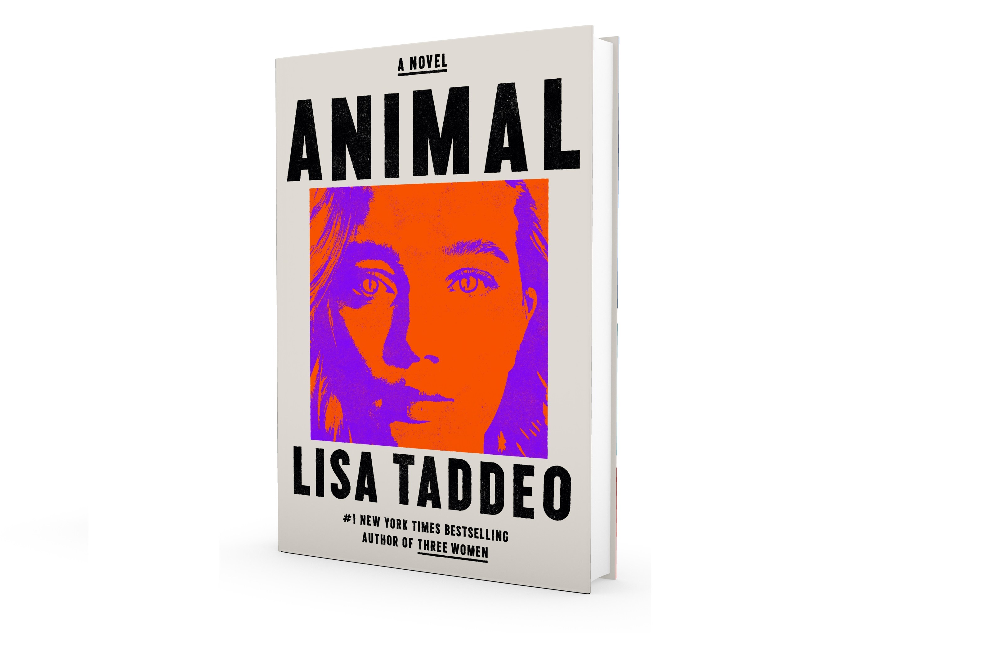 animal by taddeo
