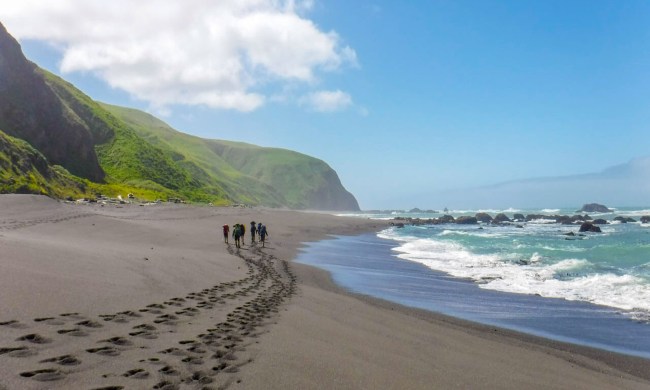 Adventurers leaving footprints on the sand along the shores of California’s Lost Coast.