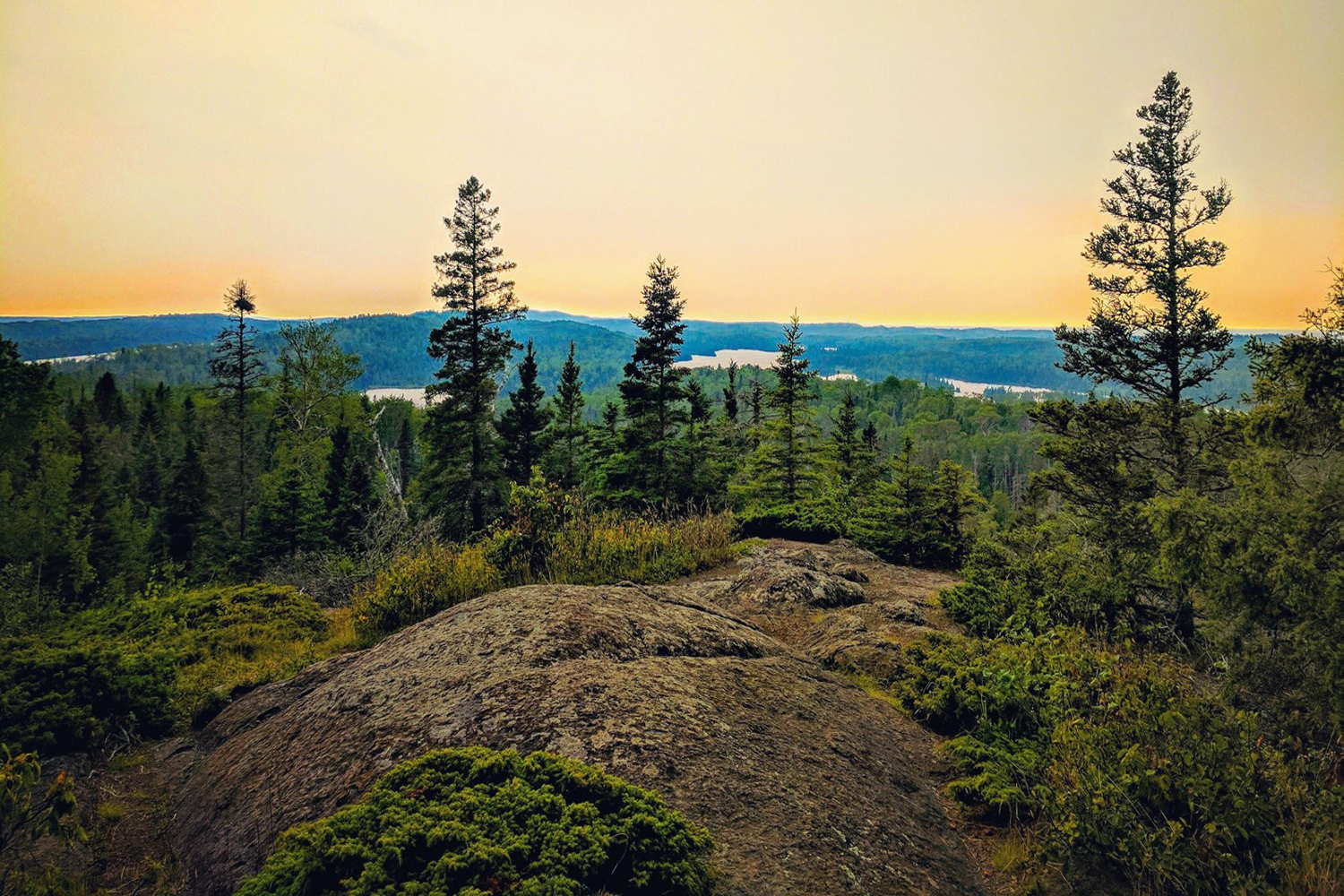 A view of the Greenstone Ridge Trail.