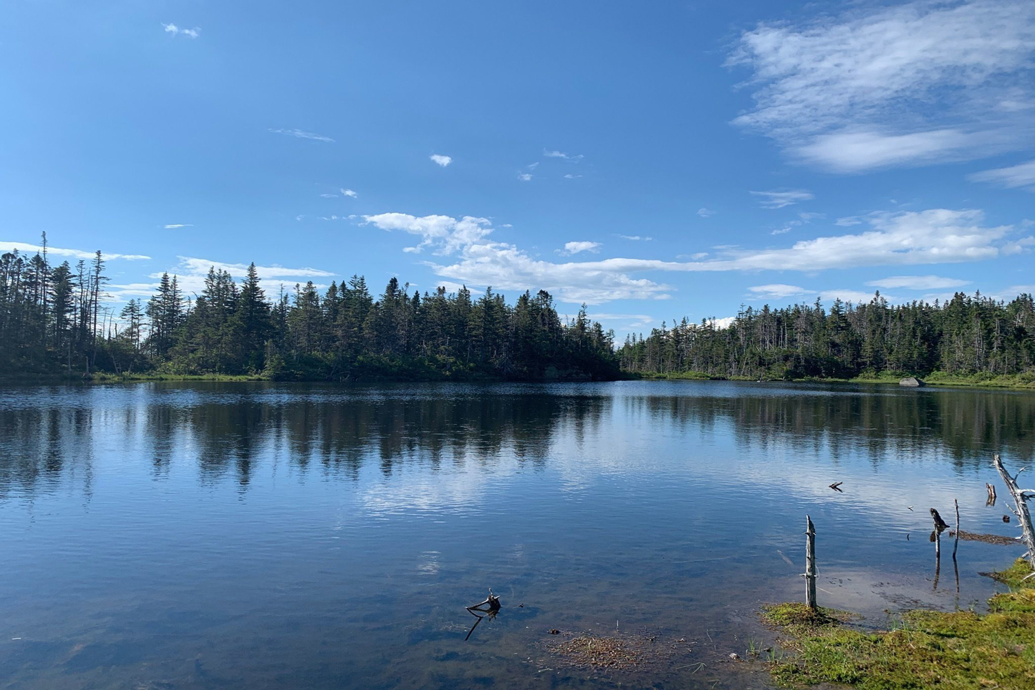 A pristine body of water at Pemigewasset Loop.