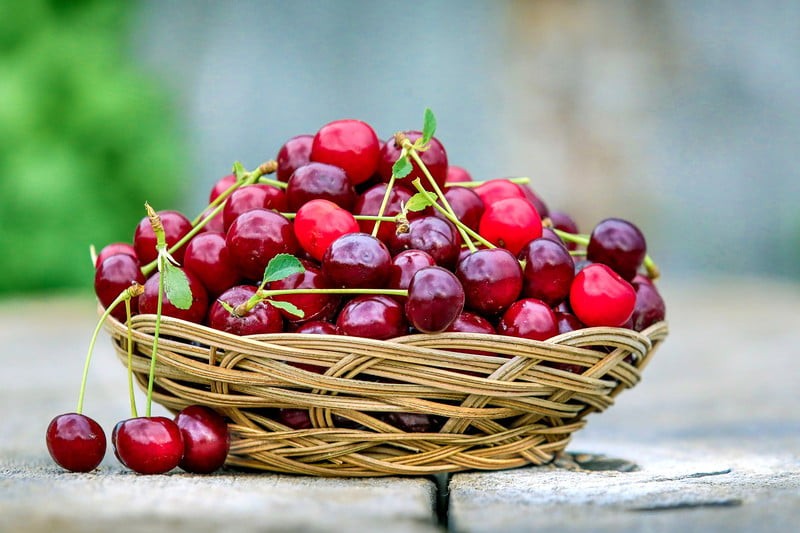 Bowl of tart cherries.