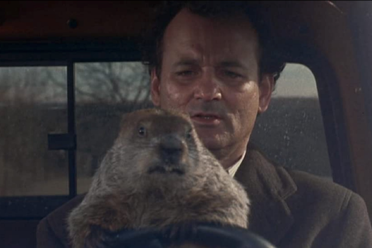 Bill Murray in Groundhog Day.