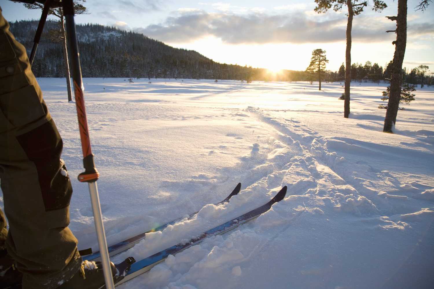 how-to-buy-cross-country-skis-for-your-winter-escapades-the-manual