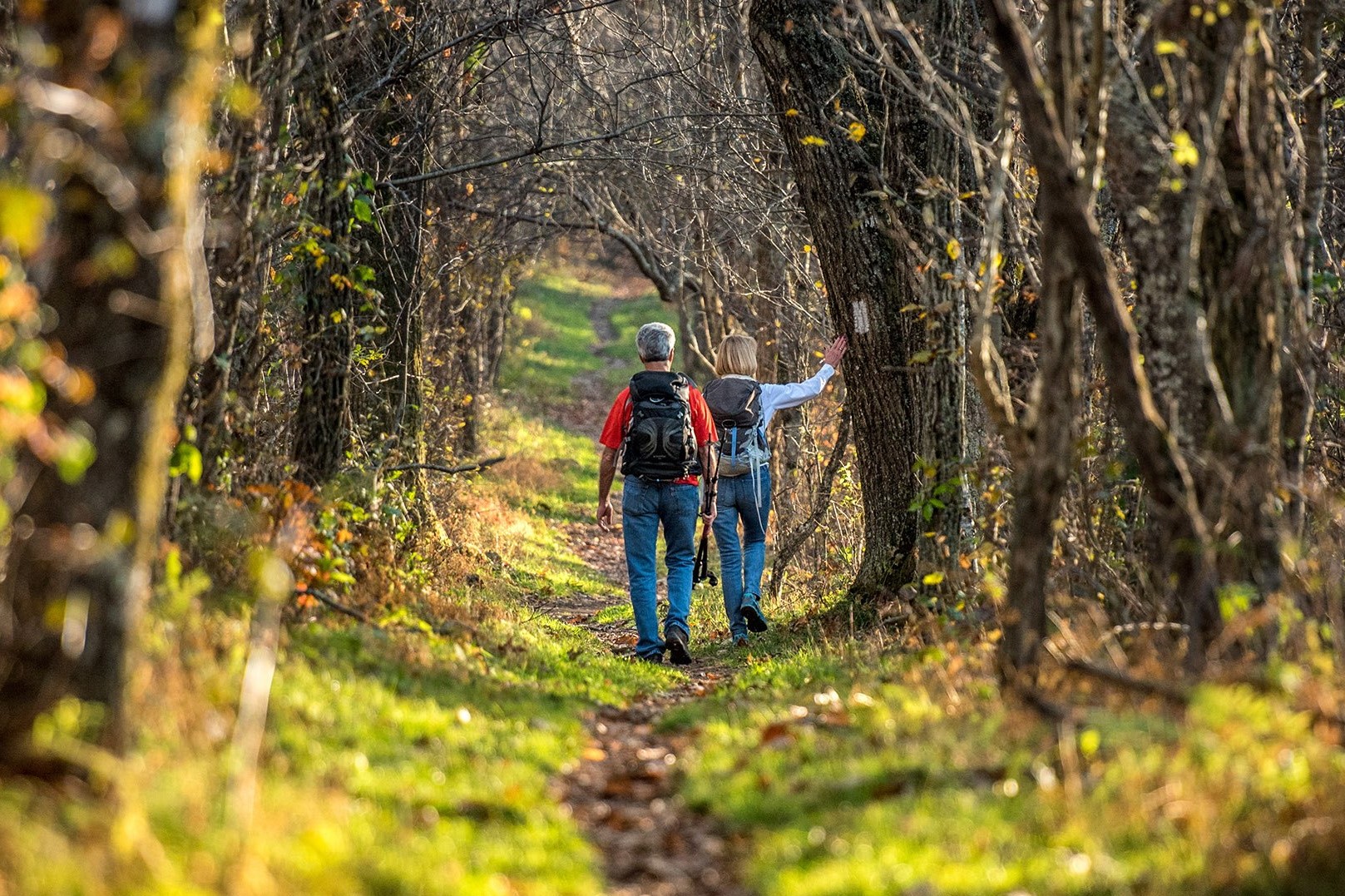 Appalachian Trail